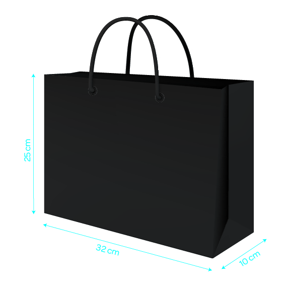 BLACK LUXURY CARRIER 32X10X25CM X 100(Z)